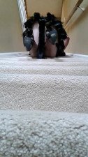 Cat Walk