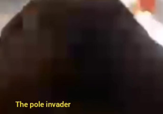 The pole invader invasion of another cd