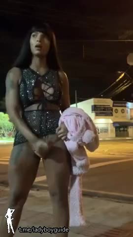 Watch Black BBC Ts jackoff On Street Shemale Porn Videos | TranSexBig.