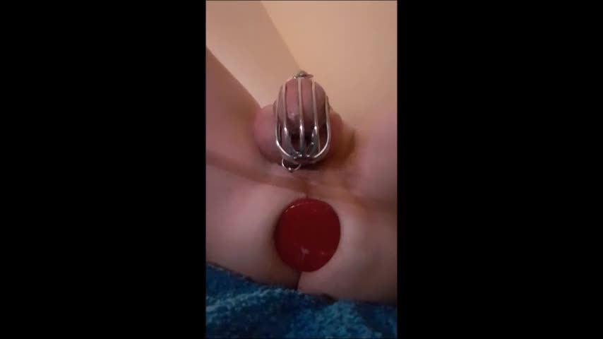 Watch Sissy Susi mit Chastity and big red plugs Shemale Porn Videos | TranSexBig.