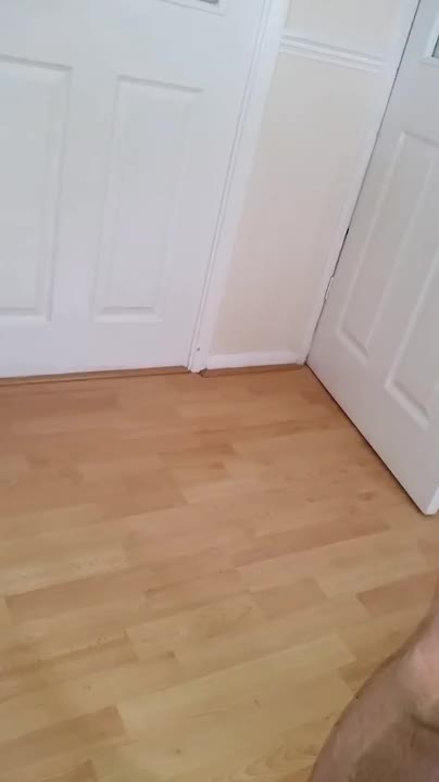 Watch Man in stockings and suspenders small heels cumin shot Shemale Porn Videos | TranSexBig.