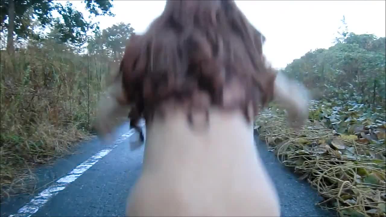 Watch crossdresser ass Shemale Porn Videos | TranSexBig.