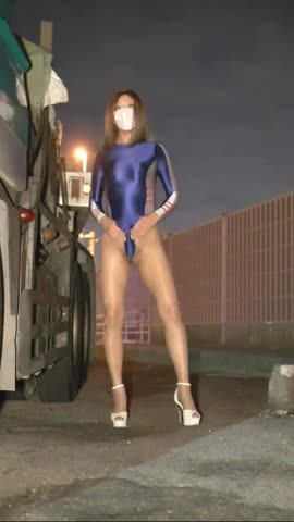 Watch Nesoclopeus poecilopterus Shemale Porn Videos | TranSexBig.