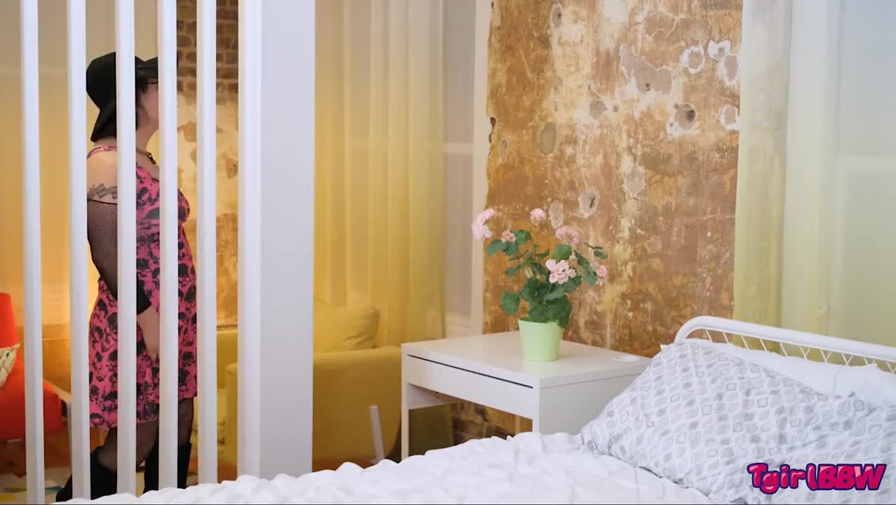 Watch GROOBY.CLUB: INTRODUCING ZOEY JANE! Shemale Porn Videos | TranSexBig.