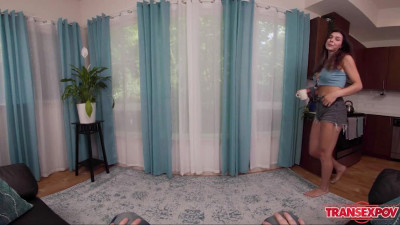 TRANSEXPOV: THE BIG GAME