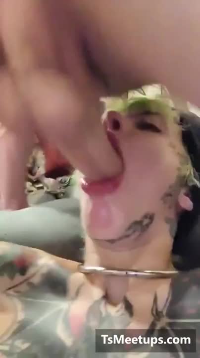 Watch randy transsexual tramp 13 Shemale Porn Videos | TranSexBig.