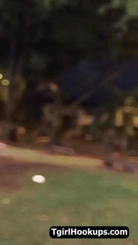 Watch tranny fantasy come true 49 Shemale Porn Videos | TranSexBig.