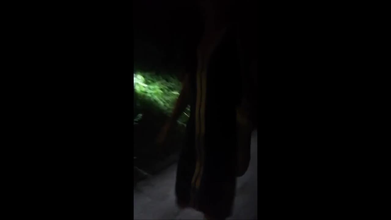 Watch walk in swimsuit Shemale Porn Videos | TranSexBig.