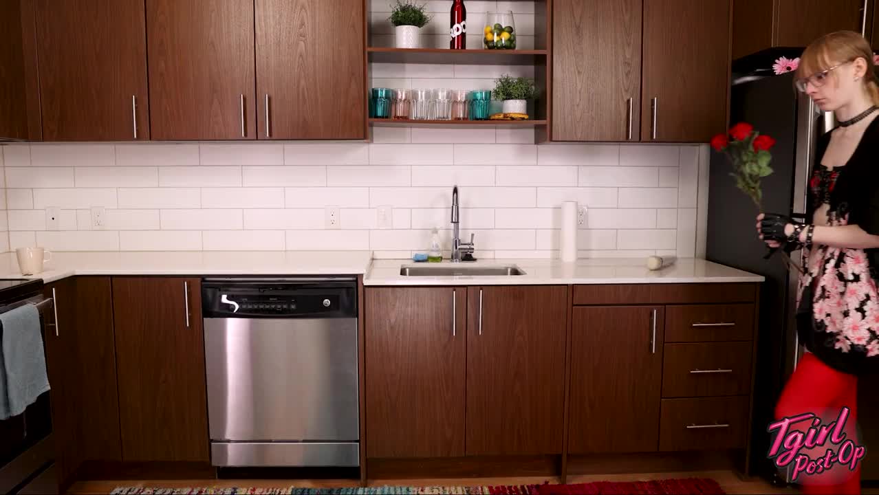 Watch GROOBY.CLUB: NORA LIKES HER TOY! Shemale Porn Videos | TranSexBig.