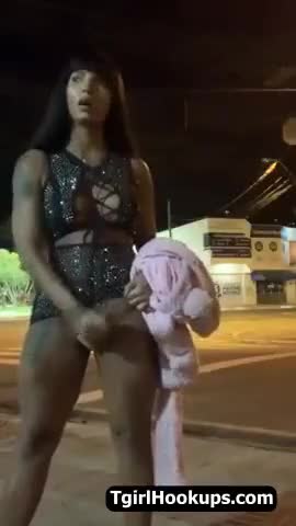 Watch Are You Addicted to Shemale Cock 106 Shemale Porn Videos | TranSexBig.