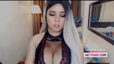 Busty transsexual strokes her hard shecock