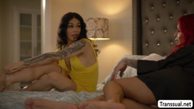 Two Busty Shemales loves their anal pounding sex scene