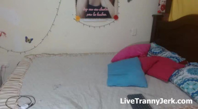 lina with jake tgirl webcam