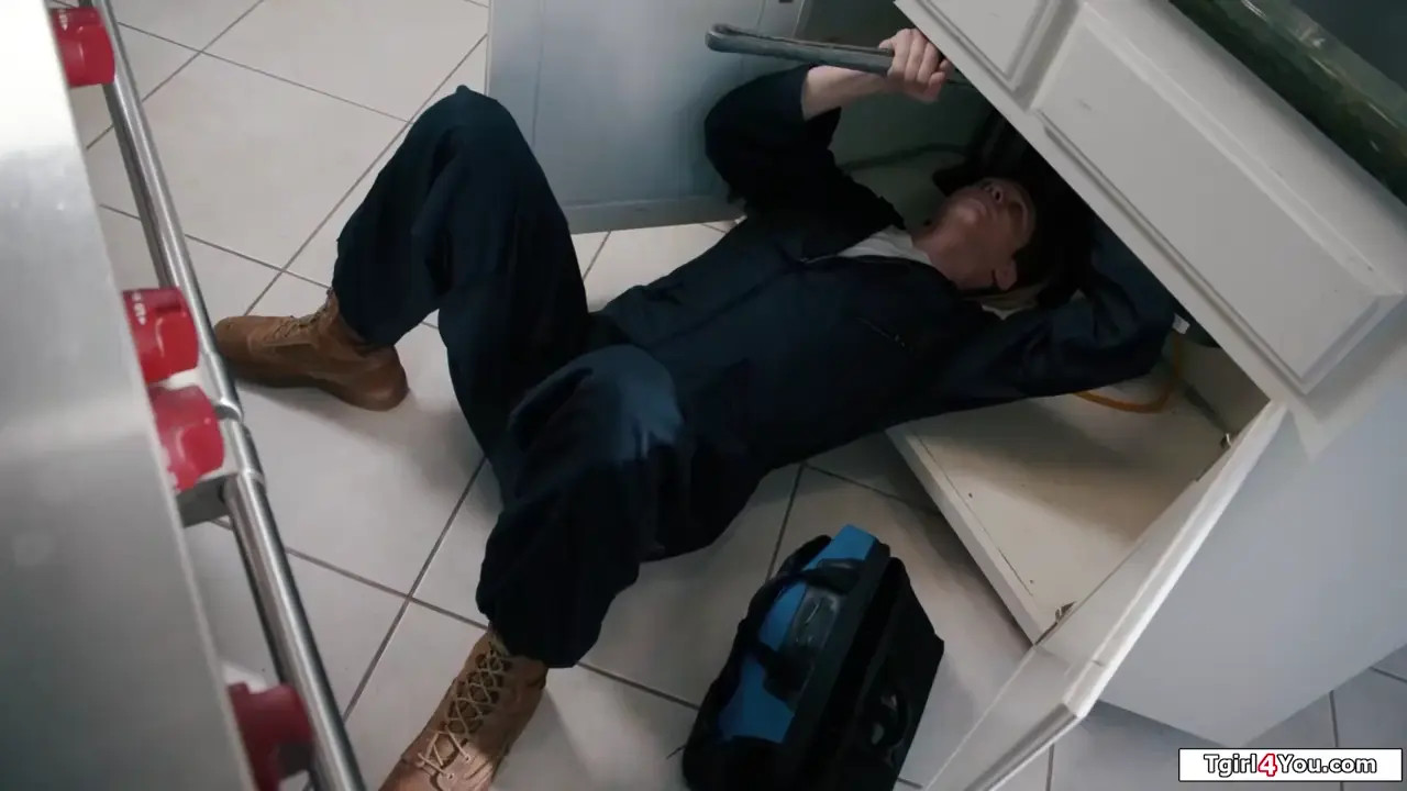 Watch Trans Ariel Demure assfucks the plumber Shemale Porn Videos | TranSexBig.