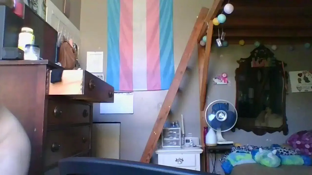 Watch Where is my Dildo Shemale Porn Videos | TranSexBig.