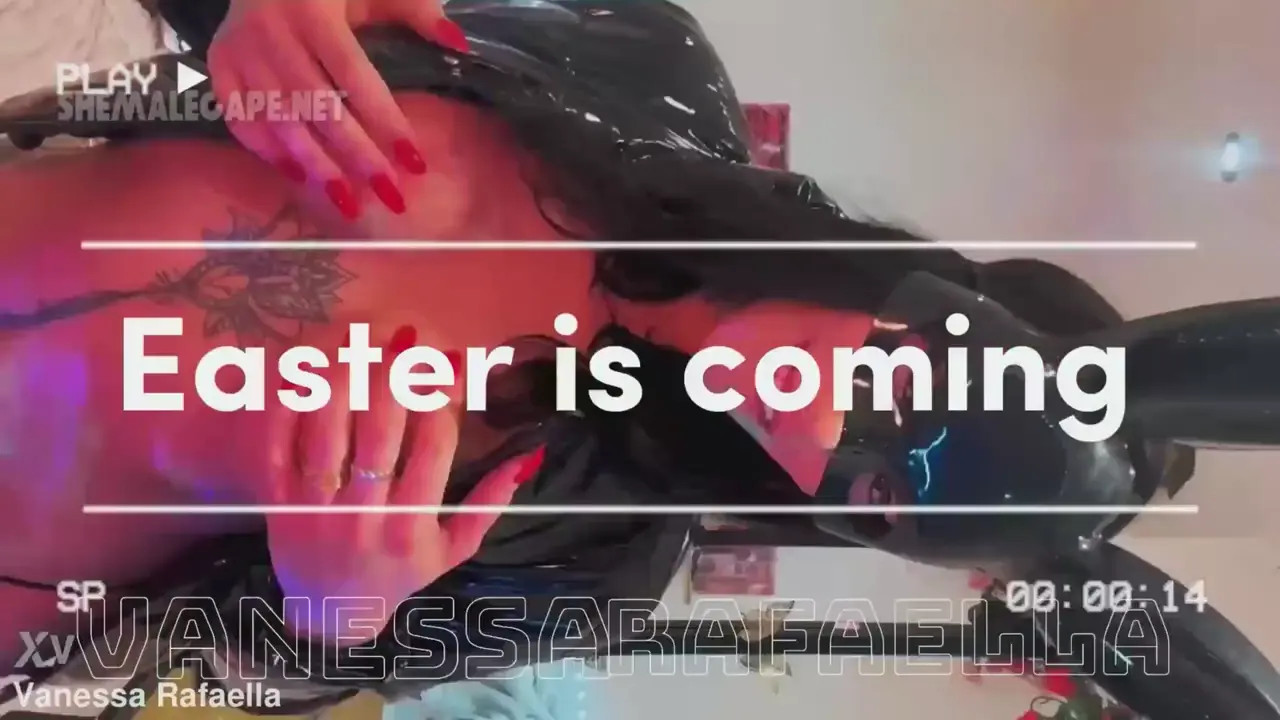 Watch Vanessa Rafaella 5 Shemale Porn Videos | TranSexBig.