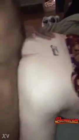 Watch BBC breeding shemale again Shemale Porn Videos | TranSexBig.