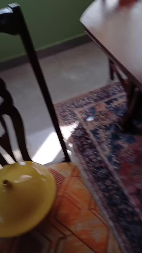 Watch fardita cortita Shemale Porn Videos | TranSexBig.