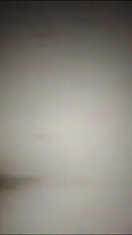 Watch Daniel barrileando a la puta Cecilia Shemale Porn Videos | TranSexBig.