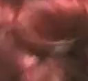 Watch Big GG grande linda bonecona Shemale Porn Videos | TranSexBig.