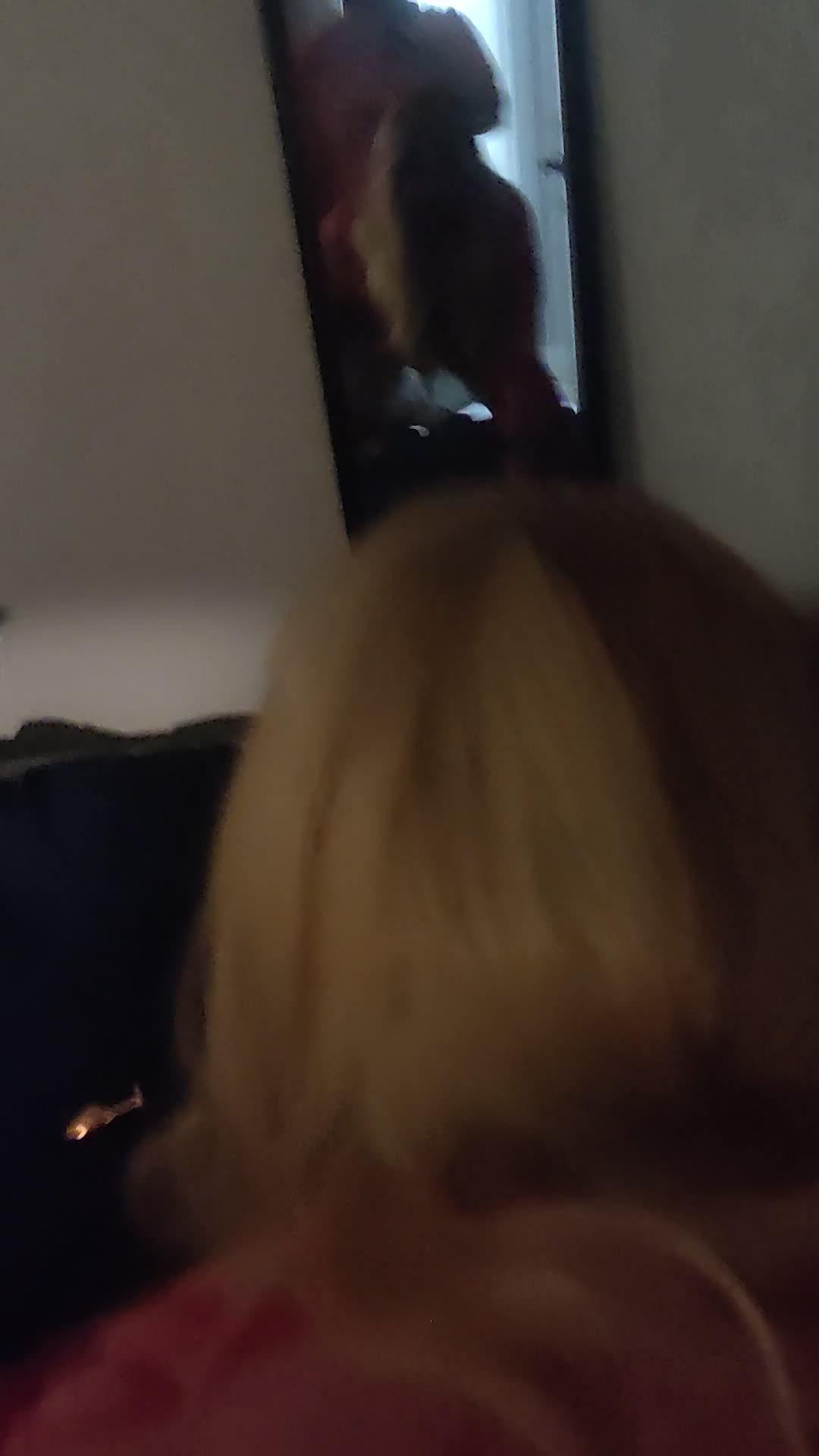 Watch Sissy get fuked Shemale Porn Videos | TranSexBig.