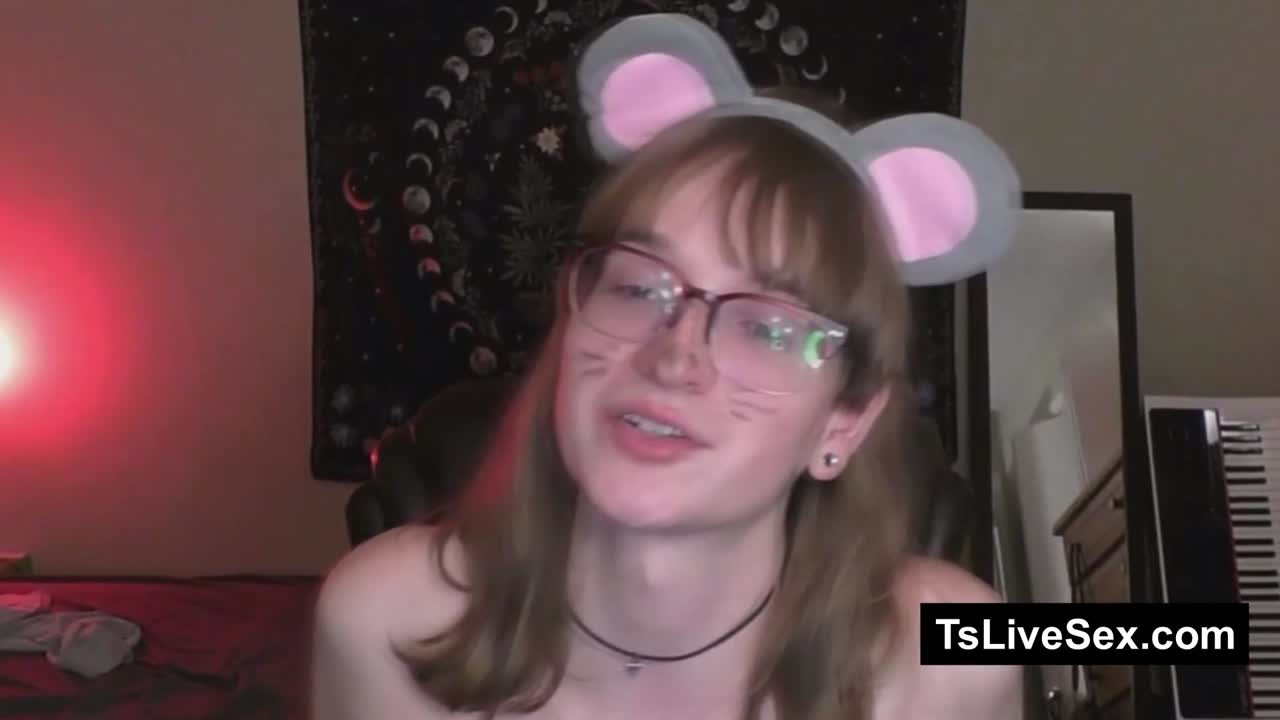 Watch Sultry Transgirl Teases Her Standard Member 53 Shemale Porn Videos | TranSexBig.