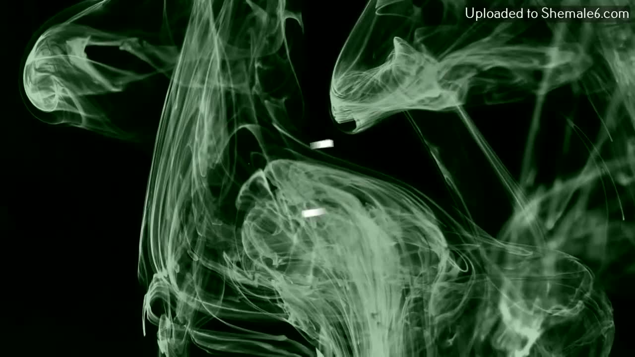 Watch trans top Shemale Porn Videos | TranSexBig.