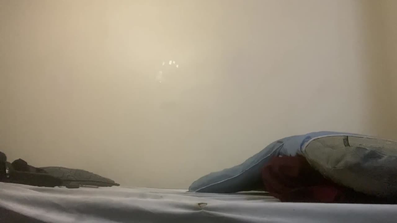 Watch Stephani strokez showme that dick Shemale Porn Videos | TranSexBig.
