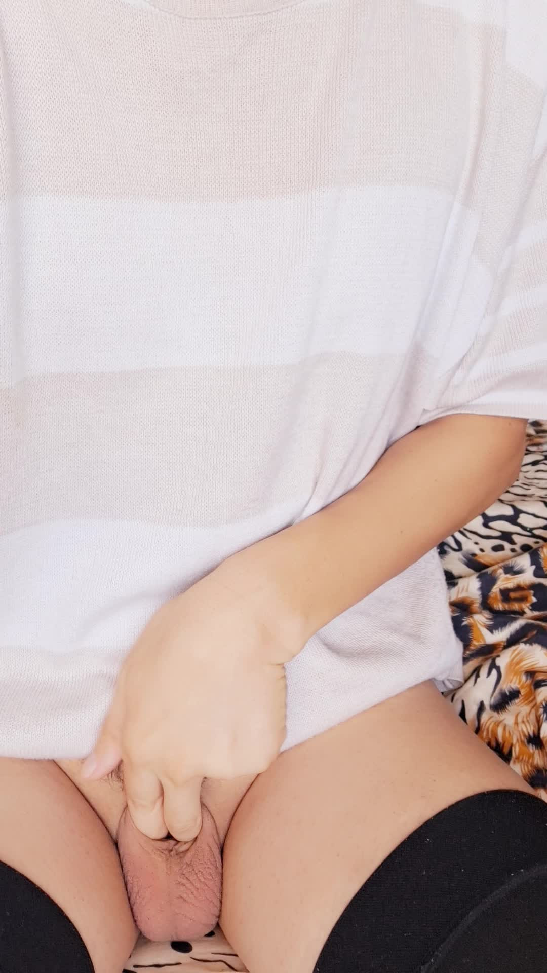 Watch Sissy clitty Shemale Porn Videos | TranSexBig.