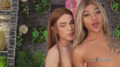 Hot Latina Trap Loves to Suck Ts' Dick