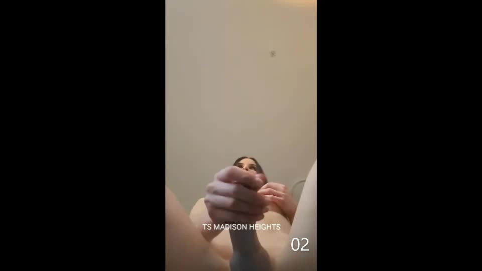 Watch Comp. TS M@d1s0n H3ghts Shemale Porn Videos | TranSexBig.
