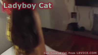 28700883 newbie shemale cat fucked stiff