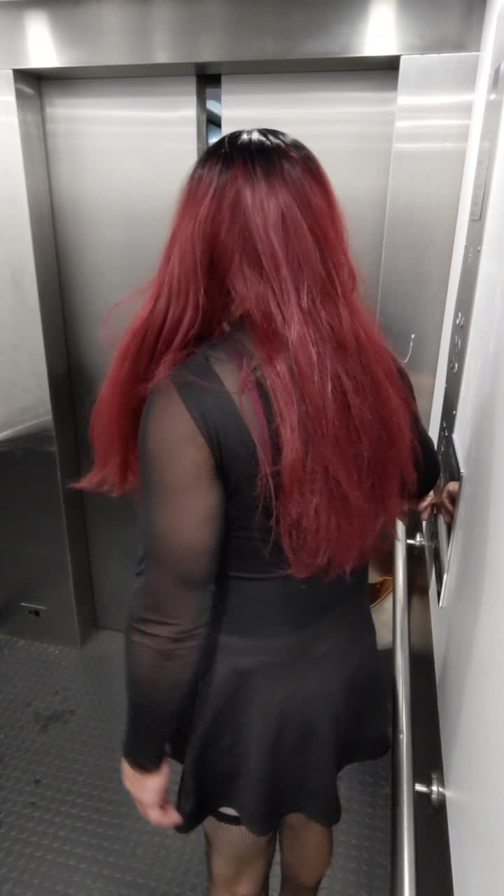 Watch Lingerie shemale flashing and dildo play in public elevator Shemale Porn Videos | TranSexBig.