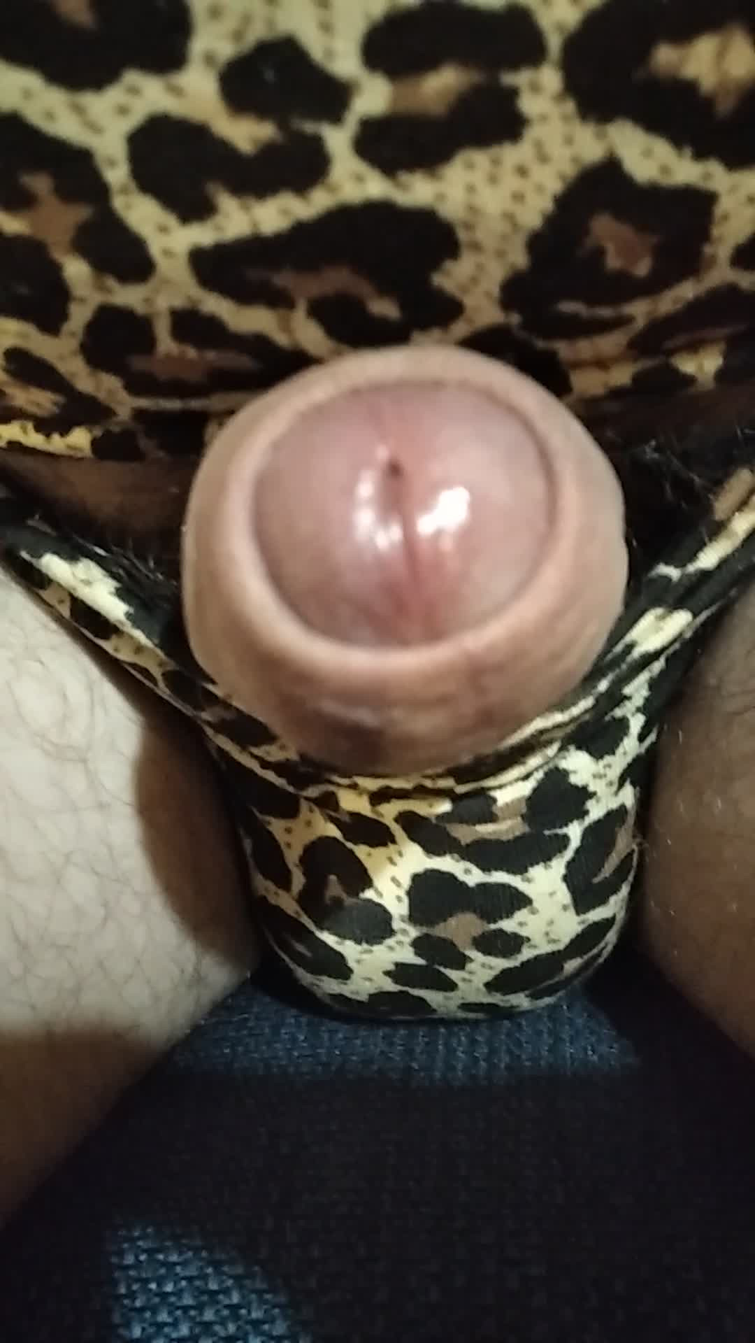 Watch I am too shy to say it, but I'm wet Shemale Porn Videos | TranSexBig.