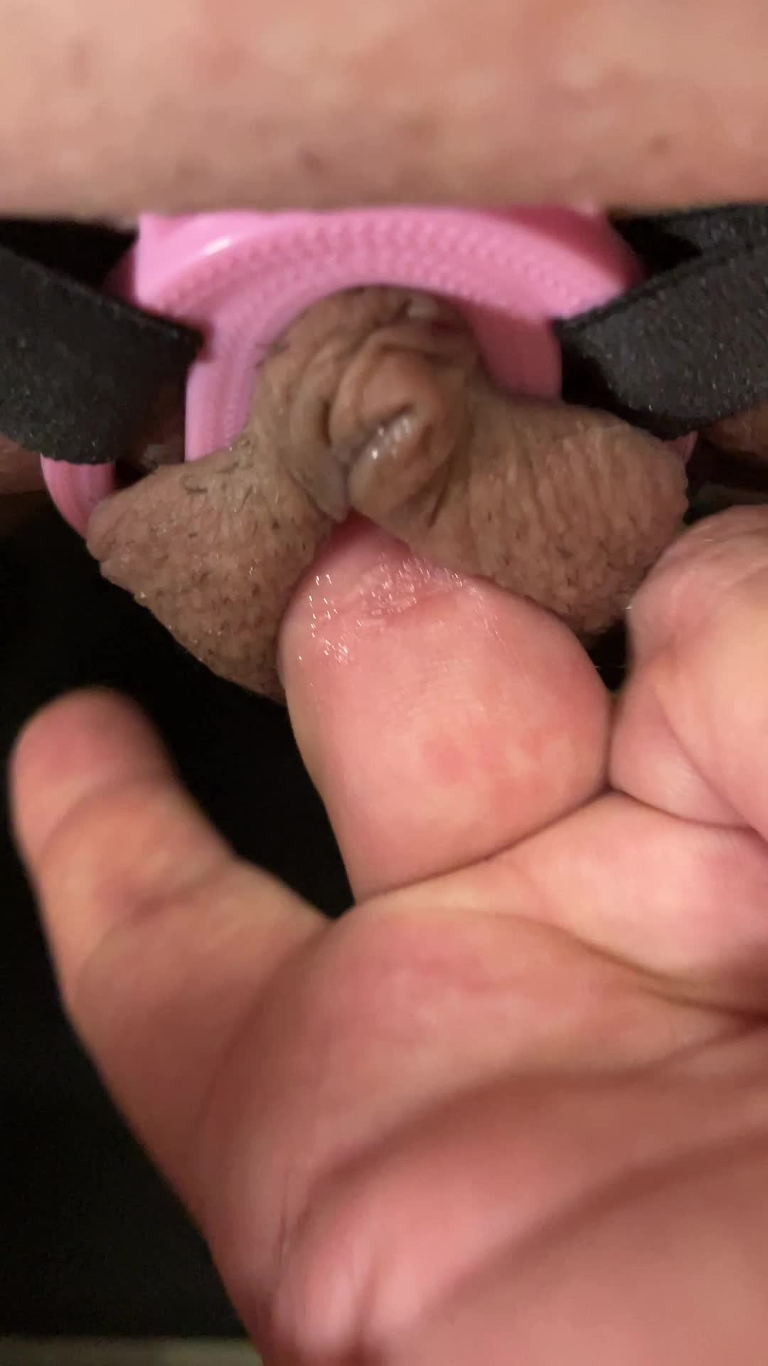 Watch Amanda Polesitter: Fufu clipped & stranger finger bangs me until I cum Shemale Porn Videos | TranSexBig.