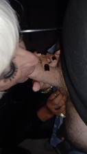 Tina Torride sucking my cock