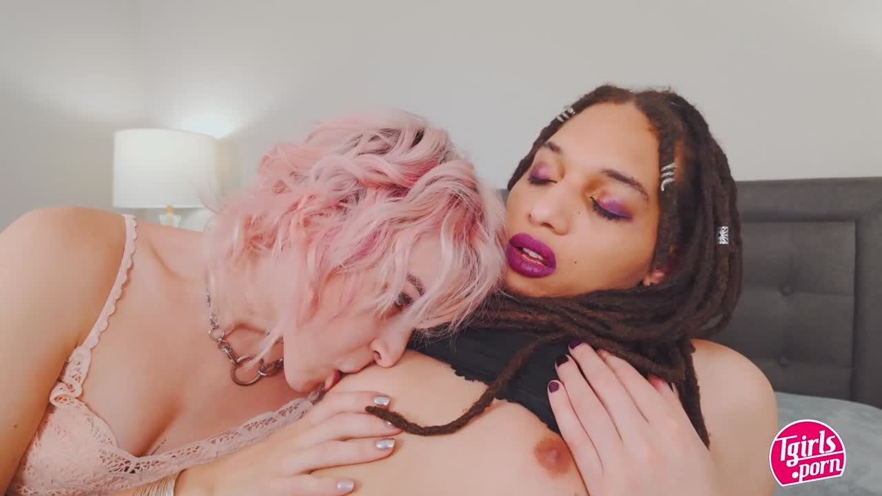 Watch TGIRLS PORN - Aelin and Dream are FuckBuddies! Shemale Porn Videos | TranSexBig.