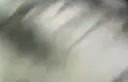 Watch Shemales clube morfaia Shemale Porn Videos | TranSexBig.