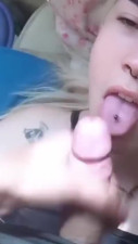 Amazing TS Swallows