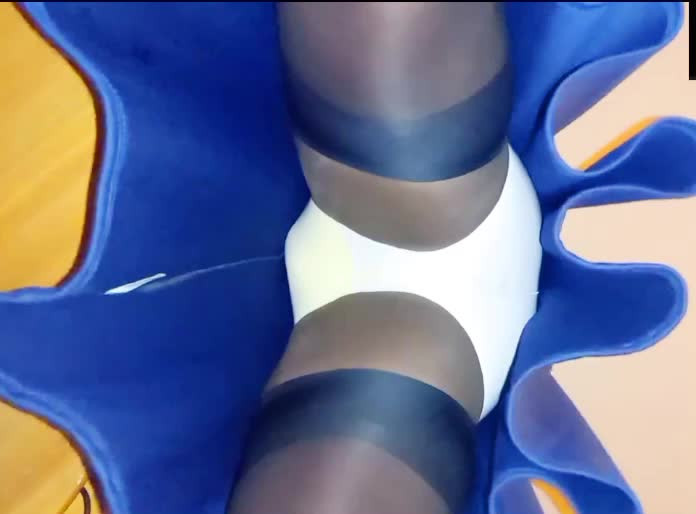 Watch BlueGirl70 Wide Panties Shemale Porn Videos | TranSexBig.