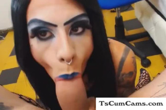 shemale licks on a big stiff penis