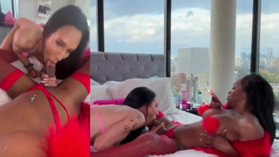 Ebony and white shemales fucking each other assholes