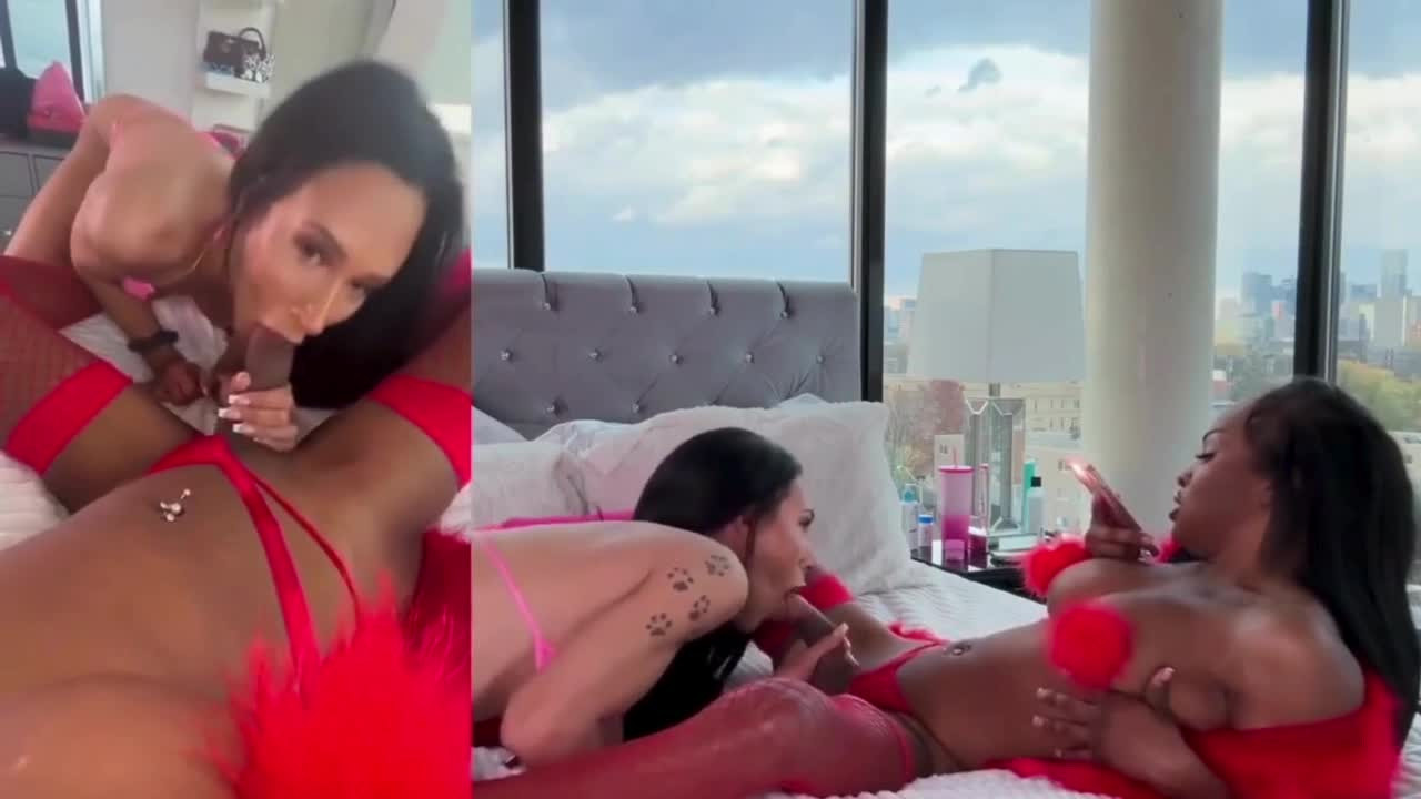 Watch Black and white trannies oral fun before fucking Shemale Porn Videos | TranSexBig.