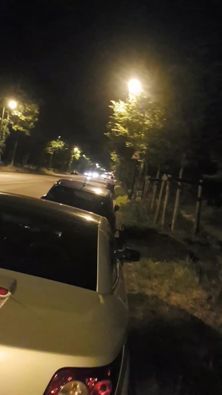 Watch Bois🌳de🗼Boulogne [9juil23] VaneSsaBiTCHx & Aline Shemale Porn Videos | TranSexBig.