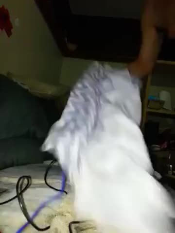 Watch Ericlaurin travestie Shemale Porn Videos | TranSexBig.