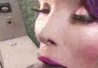 trans500 shemalesget