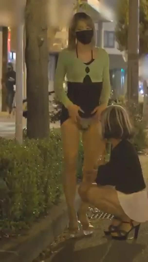 Watch RISKY PUBLIC HEAD IN FRONT OF PEOPLE WALKING Shemale Porn Videos | TranSexBig.