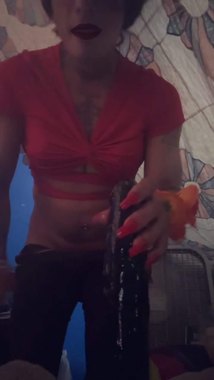 Watch Sissy Jassaphire give me that cock daddy Shemale Porn Videos | TranSexBig.