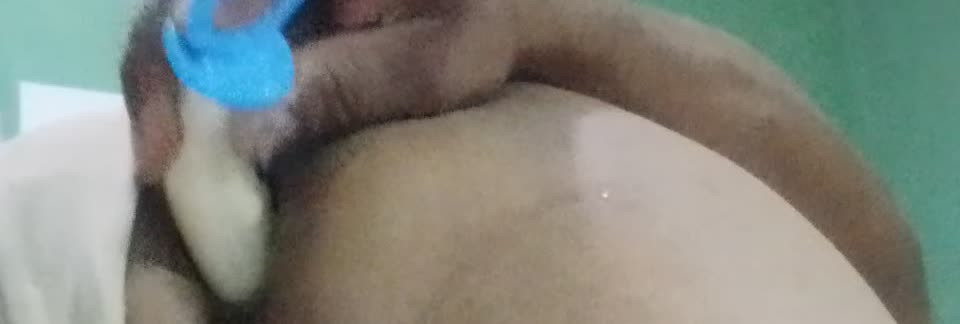 Watch Playing  whit My asspussy Shemale Porn Videos | TranSexBig.