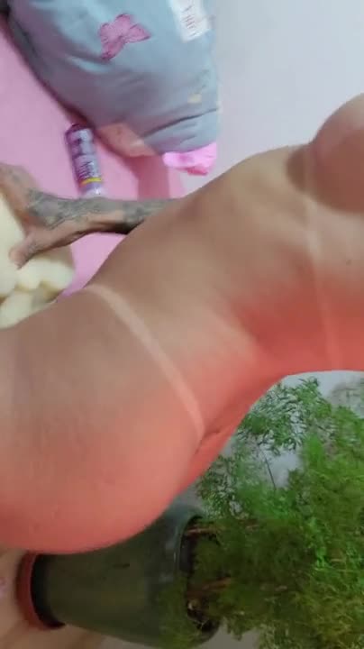 Watch Expressing milk with my favorite toy Shemale Porn Videos | TranSexBig.